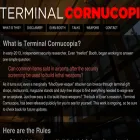 terminalcornucopia.com