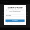 terrorhousemag.com
