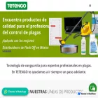 tetengo.com.mx