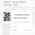 tetzoo.com