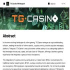 tg-casino.gitbook.io