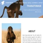 thanatobase.mystrikingly.com