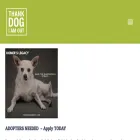 thankdogiamout.com