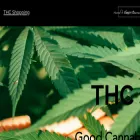thc-shopping.com