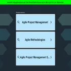 theagileexecutive.com