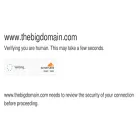 thebigdomain.com