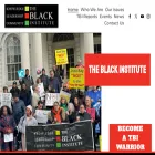 theblackinstitute.org