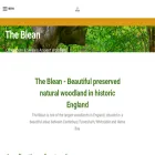 theblean.co.uk