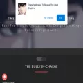 thebullyincharge.com