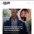 thecelebinsider.com