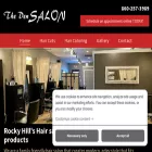 thedensalon.com