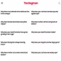 thedogman.net