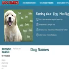 thedognames.com