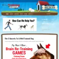 thedogtrainingsecret.com