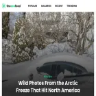 theecofeed.com