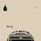 thefigrye.com