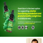theflashburn.online