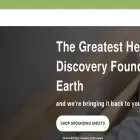 thegrounding.co