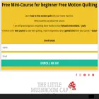 thelittlemushroomcap.com