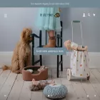 thelittlepeanuts.com