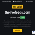 thelivefeeds.com