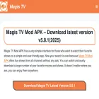 the-magis-tv.com