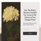 themorrismansionblog.com