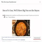 thenervoussoutherner.com