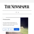 thenewspaper.website