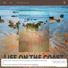 thepalmcoast.com