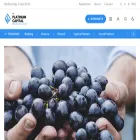 theplatinumcapital.com