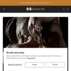 therecoverypen.com