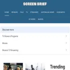 thescreenbrief.com