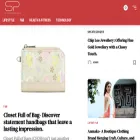 thesingaporepress.biz