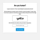 thespidersushibar.com