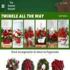 thesurprisebouquet.net