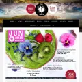 thetaste.ie
