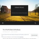 theurbanmosaic.org