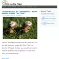 thinklandingpages.com