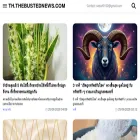 th.thebustednews.com