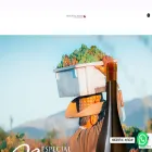 tiendapuenteaustral.cl