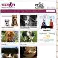 tier.tv