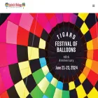 tigardballoon.org