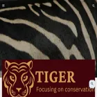 tiger.pictures-of-cats.org