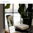 timelineproapp.com