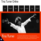tina-turner.nl