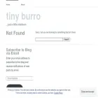 tinyburro.com