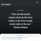 tinytrout.com