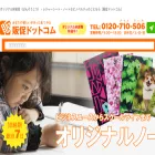 tnp-hansoku.com