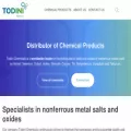 todini.com
